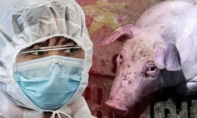 Covid-19 chưa qua, Trung Quốc lại phát hiện chủng virus cúm 'tiềm năng gây đại dịch'