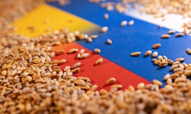 Liên hợp quốc: Thế giới cần ngũ cốc và phân bón từ Nga