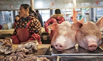 Cuộc khủng hoảng tàn phá thị trường thịt lợn 200 tỷ USD của Trung Quốc