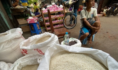 Sau Ấn Độ đến Nga và loạt nước ngừng xuất khẩu, giá gạo Việt lập đỉnh 12 năm