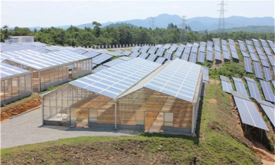 Ông lớn xây dựng, BĐS bỏ 840 tỷ lập trang trại lợn, lắp điện mặt trời áp mái ở Quảng Trị