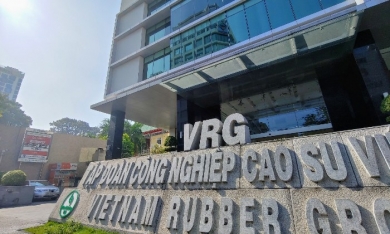 Tập đoàn Công nghiệp Cao su Việt Nam được hoàn 132 tỷ đồng sau quyết toán cổ phần hóa