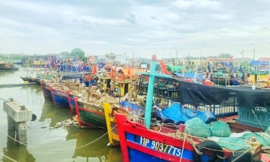Hải Phòng: Điều tra, xử lý nghiêm tàu cá vi phạm quy định khai thác hải sản