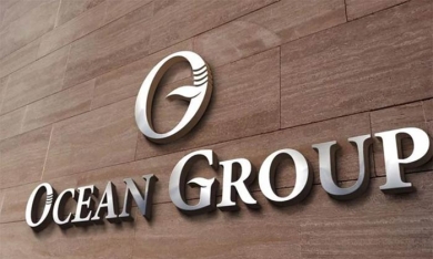 Loạt nhân sự cấp cao của Ocean Group đồng loạt xin từ nhiệm