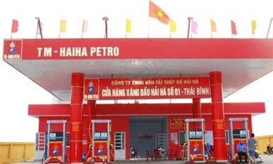 Hải Hà Petro chưa trả 612 tỷ đồng nợ Quỹ bình ổn xăng dầu