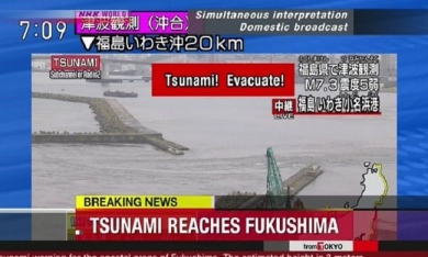 Sóng thần cao hơn 1m xuất hiện ở Nhật Bản, nhiều người bị thương
