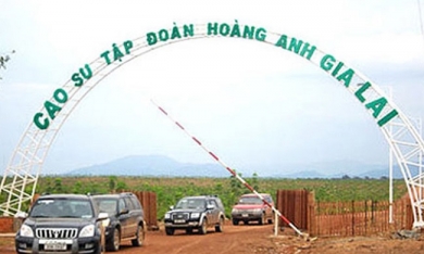 Đầu tư sang Lào, Campuchia: Doanh nghiệp Việt đang lặp lại những vết xe đổ