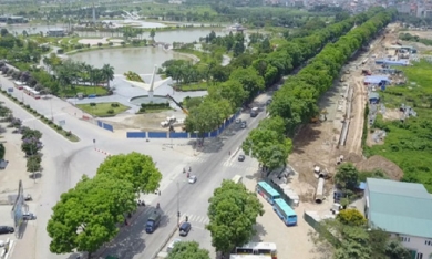 Hà Nội chưa quyết chặt 1.300 cây xanh trên đường Phạm Văn Đồng