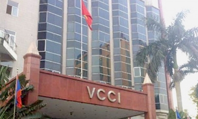 Không phải cơ quan quản lý nhà nước, vì sao VCCI được quyền cấp phép?