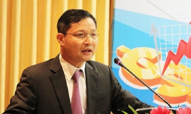 TS Vũ Viết Ngoạn, Tổ trưởng Tổ tư vấn của Thủ tướng nghỉ hưu