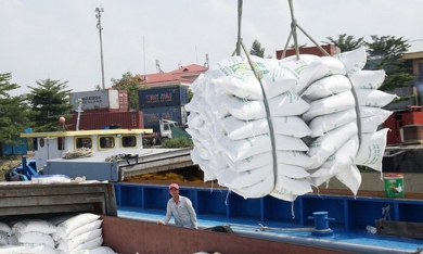 Doanh nghiệp đưa gạo vào cảng trước 24/3 được 'chia' hạn ngạch 100.000 tấn