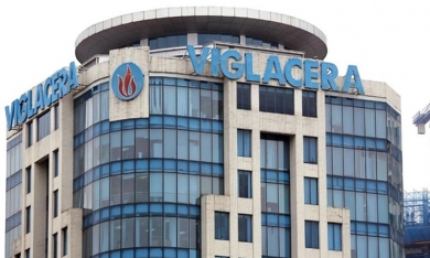 Viglacera có quý lỗ đầu tiên, cả năm lãi sau thuế 1.162 tỷ đồng