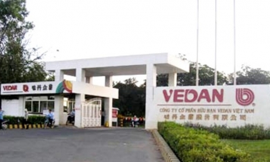 Đại gia Vedan kêu khó vì tình trạng buôn lậu bột ngọt