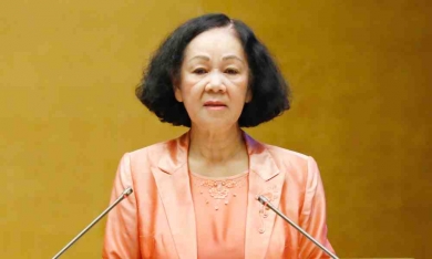 Bà Trương Thị Mai thôi giữ các chức vụ, nghỉ công tác
