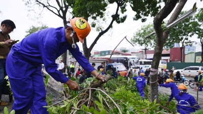 Hà Nội: Bắt đầu chặt hạ 1.000 cây xanh để mở rộng đường vành đai III