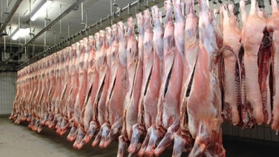 Masan xây tổ hợp chế biến thịt 1.000 tỷ đồng tại Hà Nam
