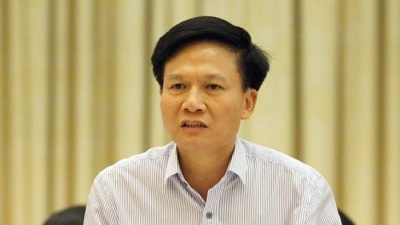 Phó Tổng Thanh tra nói về xử lý sau thanh tra gang thép Thái Nguyên, cổ phần hóa Cảng Quy Nhơn