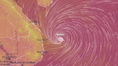 Miền Trung đối diện cơn bão Molave nguy hiểm nhất trong 2 thập kỷ