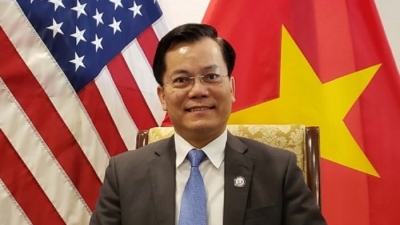 Đại sứ Hà Kim Ngọc: 'Mỹ chưa có kết luận về 23 thủy thủ dương tính với Covid 19 từng ghé Việt Nam'