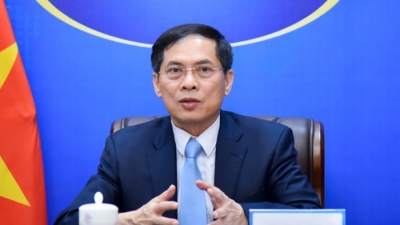 Đề nghị xem xét thi hành kỷ luật Bộ trưởng Ngoại giao Bùi Thanh Sơn
