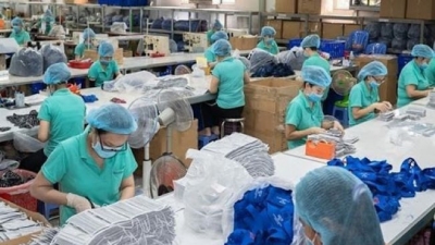 Cơ hội xuất khẩu thiết bị bảo hộ y tế của doanh nghiệp Việt