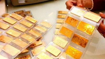 Người dân TP. HCM chi gần 7.000 tỷ đồng mua vàng trong tháng 7, tăng 51% so với tháng 6