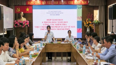 TP. HCM khởi tố, bắt tạm giam nguyên Chánh thanh tra Sở Tài chính Lê Thị Thanh Tuyền