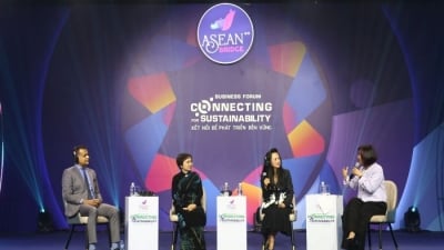Việt Nam thu hút đầu tư nước ngoài bằng tăng trưởng xanh và bền vững