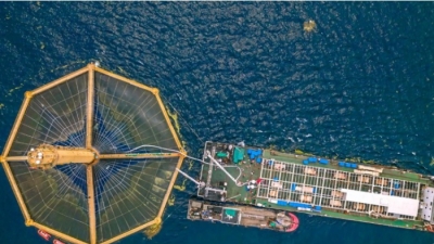 Siêu tàu Trung Quốc lớn gấp đôi Titanic: 'Nhà máy sản xuất protein' giữa đại dương