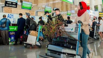 Vietnam Airlines và Bamboo Airways nhận vận chuyển đào, mai Tết Tân Sửu