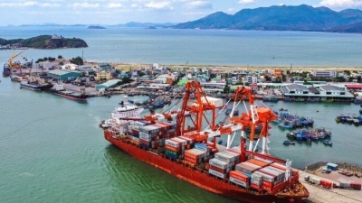 VAFI: 'Cảng Quy Nhơn 'thổi phồng' thành tích kinh doanh 2019'