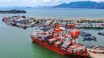 Cảng Quy Nhơn: Nghi án lập khống chứng từ tham ô tài sản