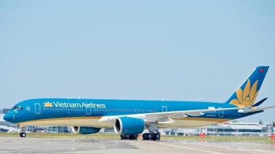 Vietnam Airlines được Hoa Kỳ cấp phép 12 chuyến bay hồi hương