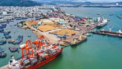 6 tháng đầu năm 2021, Cảng Quy Nhơn lãi hơn 100 tỷ đồng