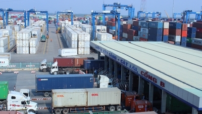 Cảng Cát Lái tạm ngưng tiếp nhận nhiều loại hàng container