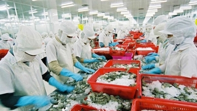 Thương mại Việt Nam - Trung Quốc đã cán mốc 100 tỷ USD
