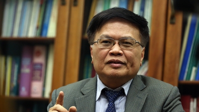 TS Nguyễn Đình Cung: 'Hãy để doanh nghiệp tư nhân không sợ lớn'