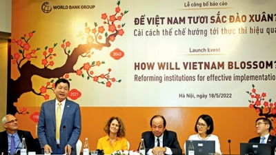 Việt Nam đã sẵn sàng hiện đại hóa thể chế hay chưa?