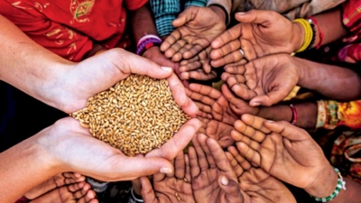 Nạn đói năm 2022: 'Lửa' đang lan trên cánh đồng lúa mì