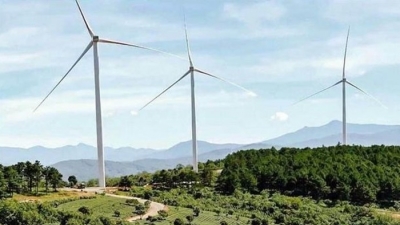 Lâm Đồng: Chiếm đất nông nghiệp, chủ đầu tư điện gió Cầu Đất bị phạt 1,4 tỷ