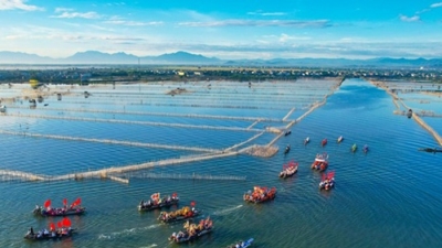 Thừa Thiên - Huế:  Xây cây cầu 1.000 tỷ đồng vượt phá Tam Giang