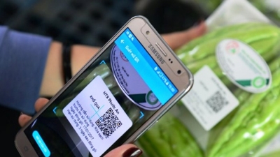 Đà Nẵng thí điểm dán tem QR Code truy xuất nguồn gốc thực phẩm