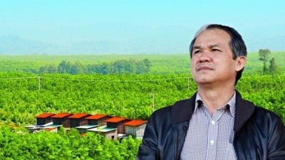 HAG: Hé lộ 1.625 ha vườn cây ăn trái trong thương vụ nghìn tỷ Hưng Thắng Lợi