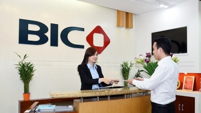 BIC ưu đãi lớn cho khách hàng mua bảo hiểm nhà trực tuyến