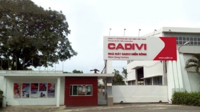Vi phạm về thuế và hóa đơn, Cadivi bị phạt và truy thu hơn 5,5 tỷ đồng