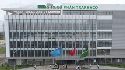 Vi phạm thuế ròng rã các năm, cổ phiếu của Traphaco sắp bị cắt margin