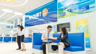 Baoviet Fund kỷ niệm 14 năm thành lập với giải thưởng Công ty quản lý quỹ tốt nhất Việt Nam 2019