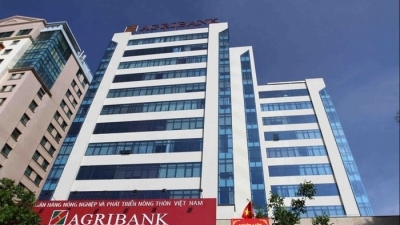 10.000 tỷ đồng - ‘đích’ lợi nhuận 2019 của Agribank