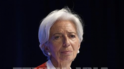 Tổng Giám đốc IMF đệ đơn từ chức