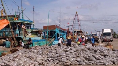 Kỷ luật cảnh cáo đối với Giám đốc Ban quản lý Cảng cá Bạc Liêu
